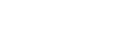 IV Consulting